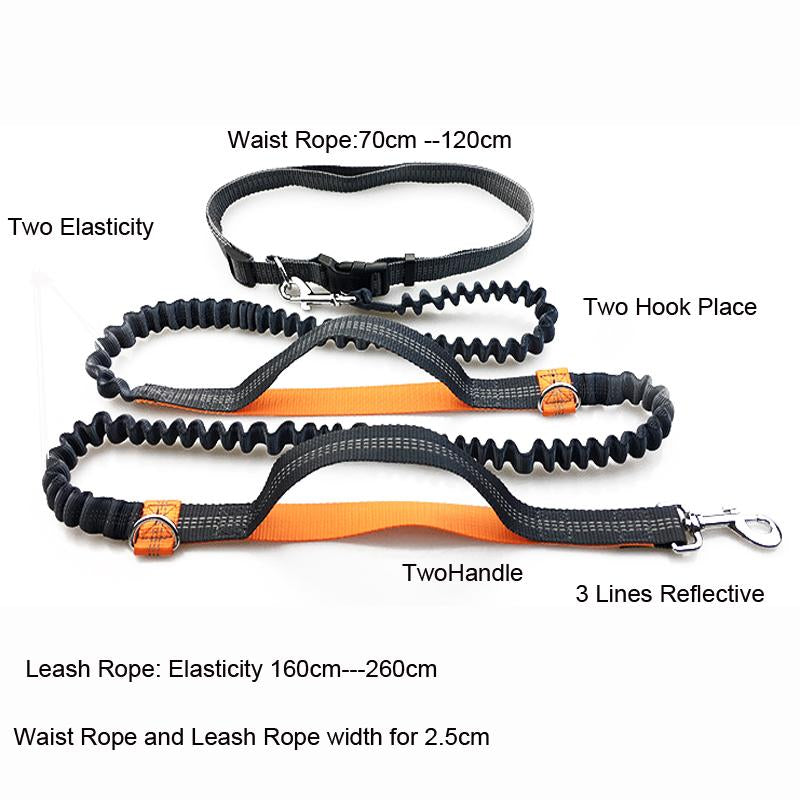 HandsFree Dog Leash Australia Dogs Harness Australia