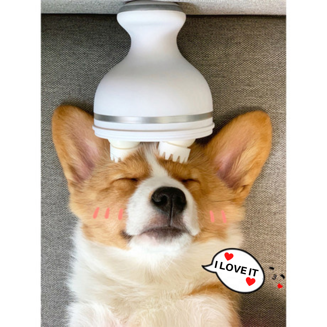 Head Massager Relieve Stress Anti Anxiety Dogs Harness Australia