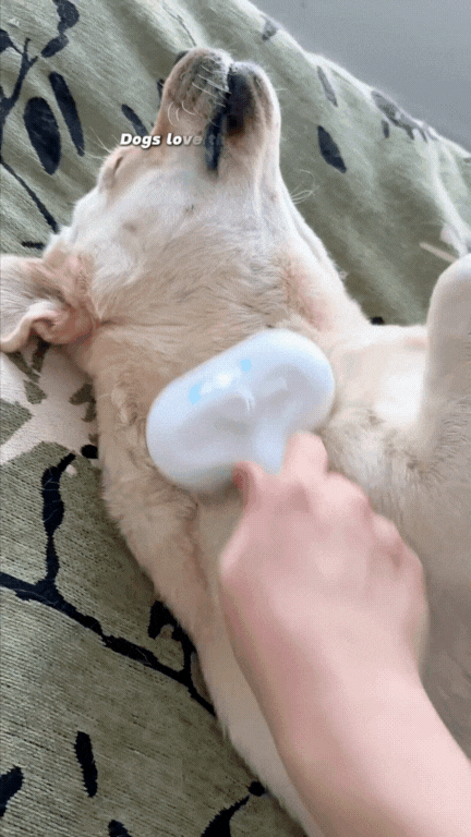 Bundle Steam Dog Brush and Dog Trimmer