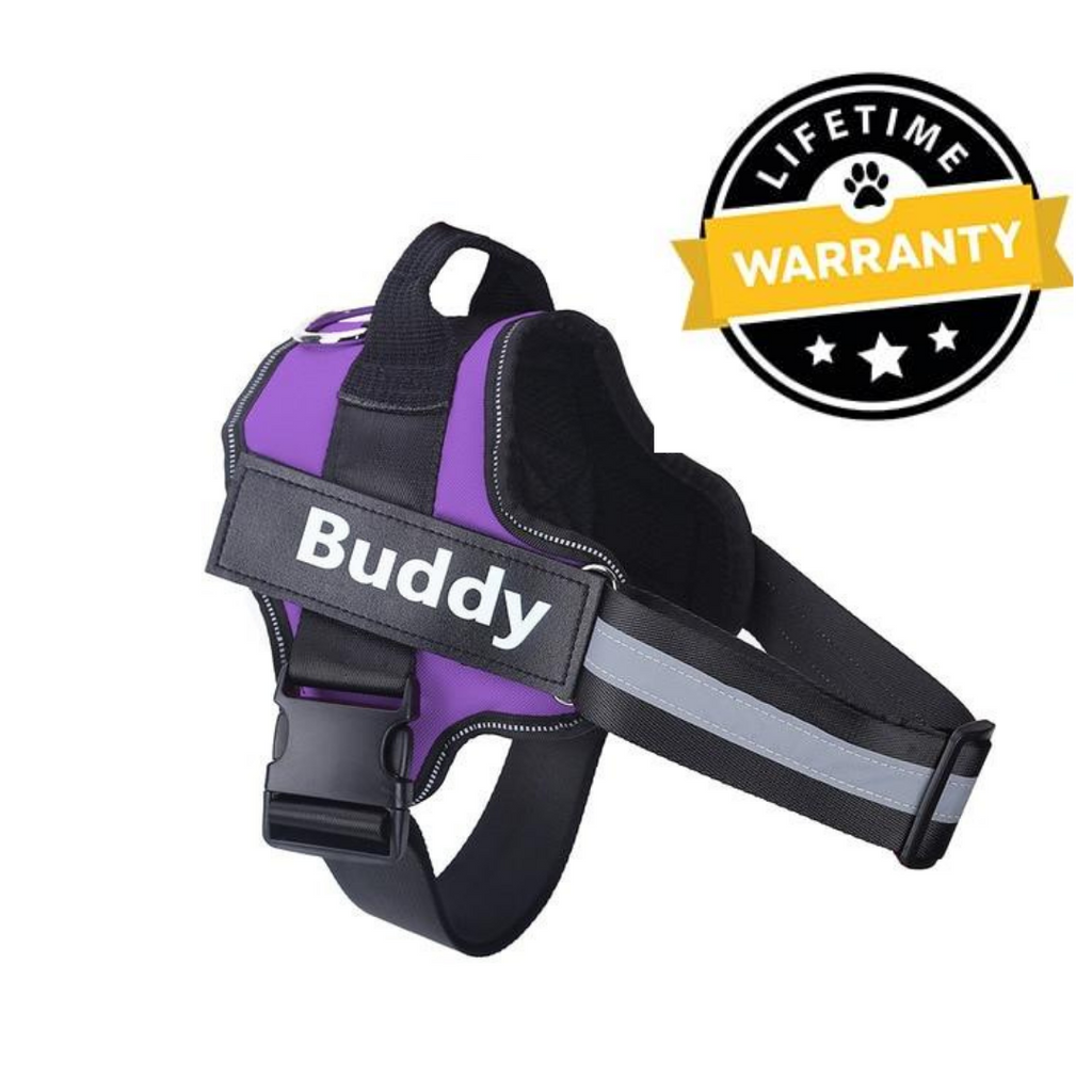 Dog harness with hot sale name on it