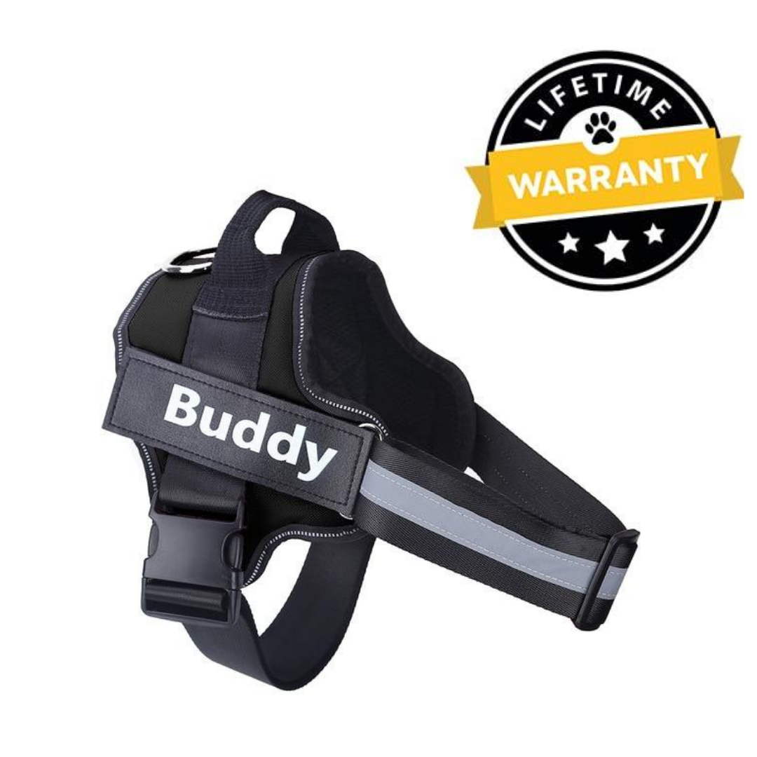 No Pull Dog Harness Australia